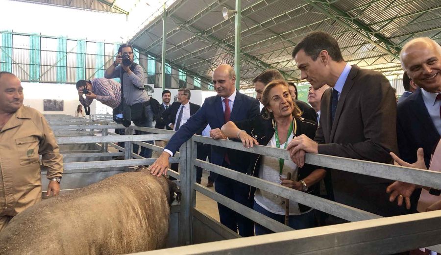 Pedro Sánchez defiende una PAC bien financiada y que aborde los nuevos desafíos del mundo rural