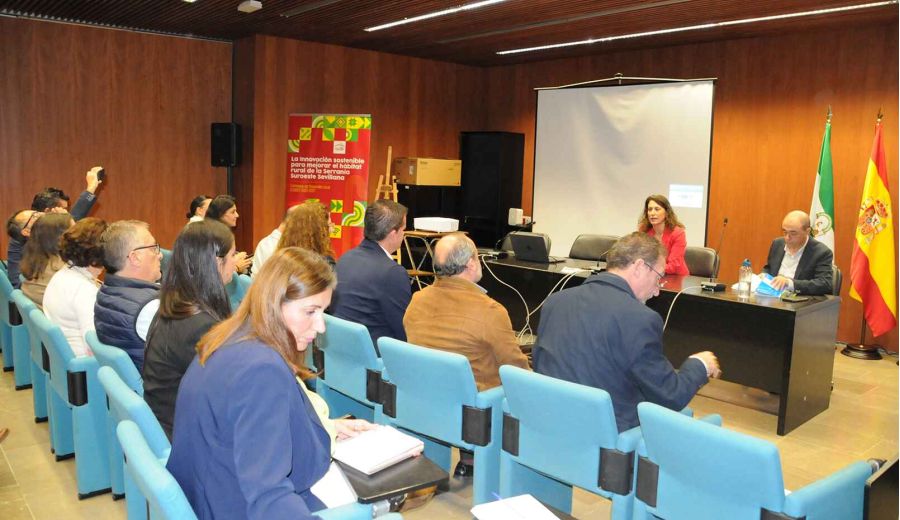 Los Grupos de Desarrollo Rural de Sevilla presentan su hoja de ruta para apoyar con LEADER nuevos proyectos