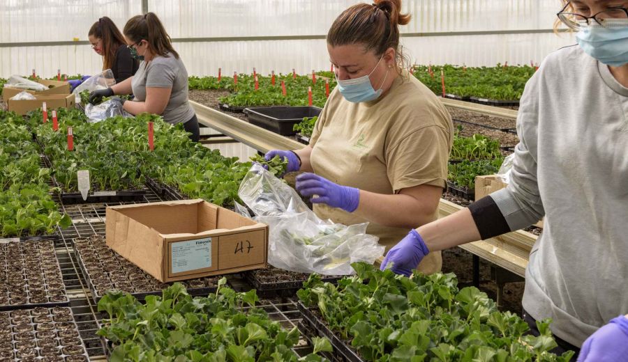 Emprendedoras rurales: continúa abierto el plazo para solicitar una de las diez becas Ruraltivity de 5.000 euros