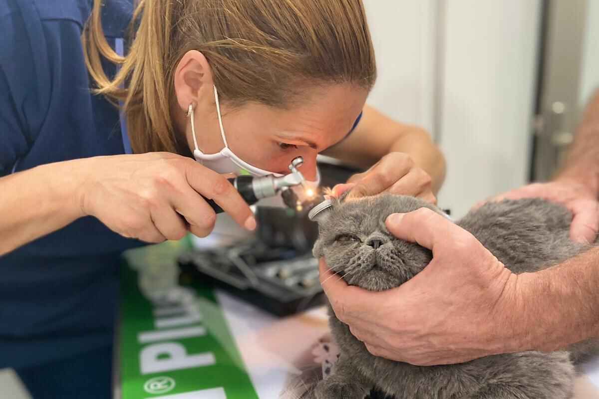 Aumentar la participación de las mujeres y juventud en los Grupos LEADER, objetivos de la PAC 2023-2027