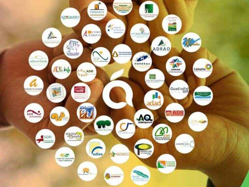 006 764x1024 1 651ebfae