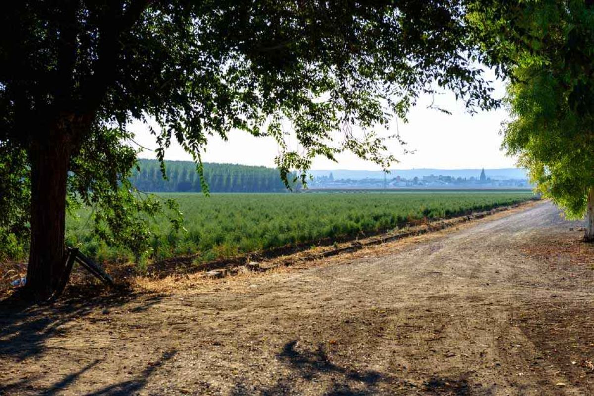 El LEADER de PROMOVEGA, comprometido con los 14 municipios de la Vega-Sierra Elvira