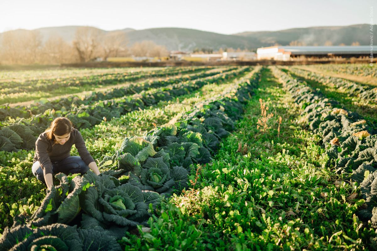 El Parlamento Europeo aprueba el informe que blinda la PAC y defiende el enfoque LEADER