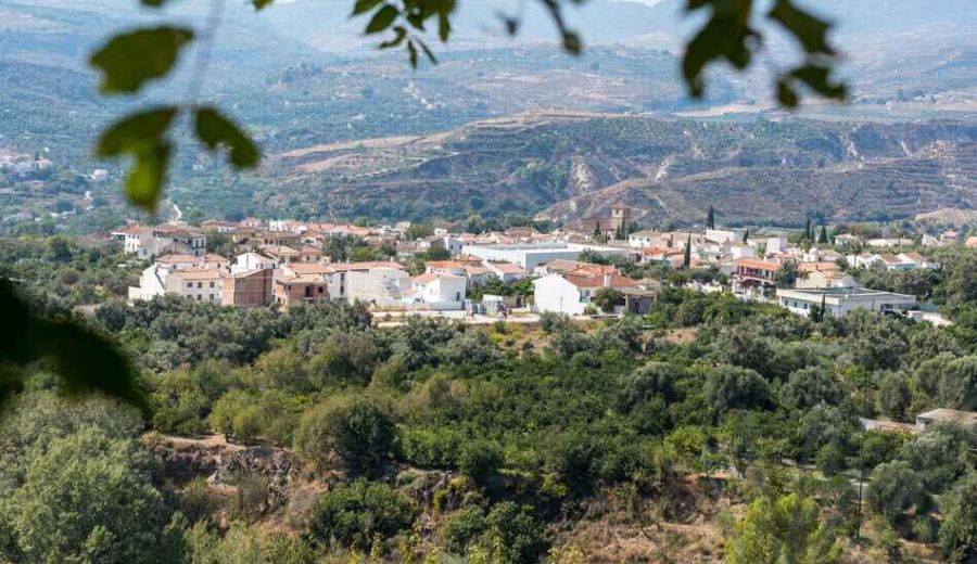 Diputación de Granada aprueba 80.000€ para apoyar los 8 Grupos de Desarrollo Rural de la provincia