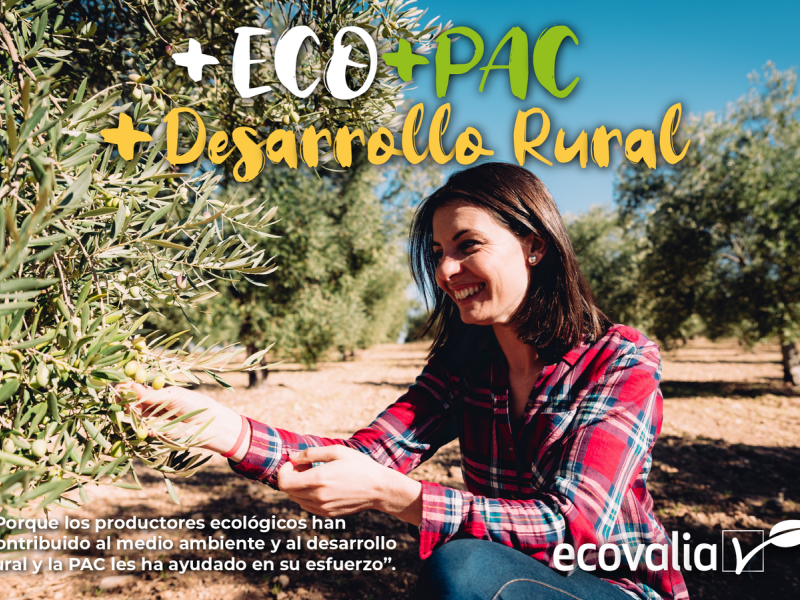 Campan%CC%83a Ecovalia 66e45422