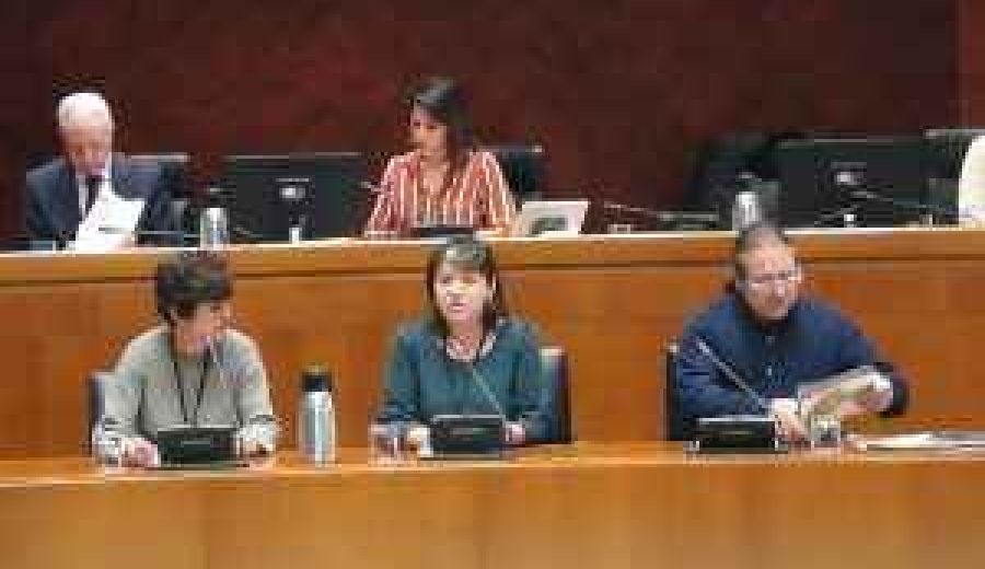 Los Grupos Leader muestran a las Cortes de Aragón su preocupación por el mantenimiento del presupuesto pactado hasta 2020 y los efectos que su incumplimiento podría tener para el medio rural aragonés