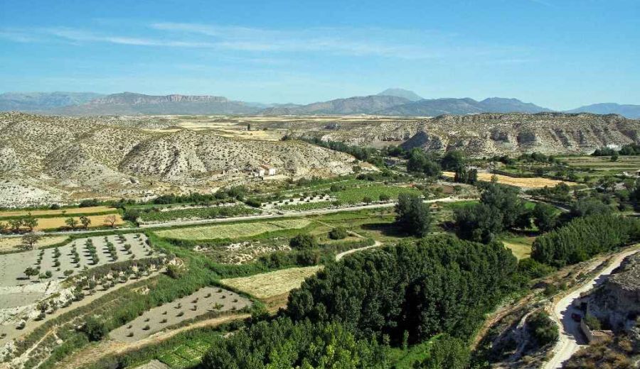 68 proyectos de desarrollo rural optan a las ayudas LEADER 2020 del GDR Altiplano de Granada