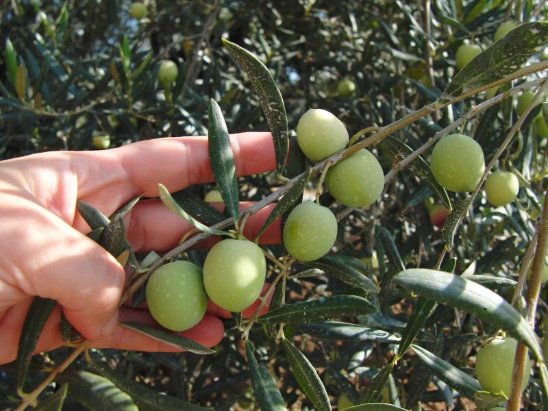 Los Ayuntamientos del Valle del Guadalhorce se forman en igualdad de género dentro el III Plan Equilibra