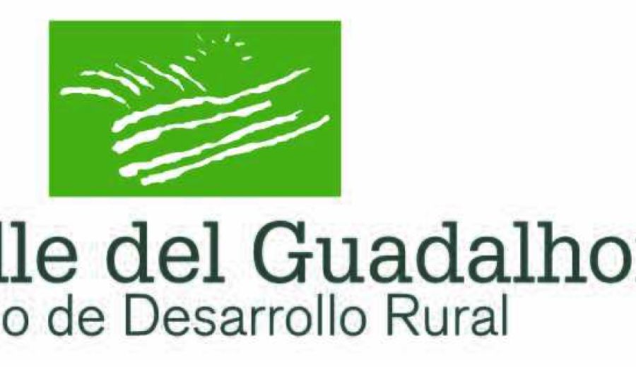 El GDR Valle del Guadalhorce organiza en Coín el intercambio juvenil Ready, Steady, ¡Go! Time to play