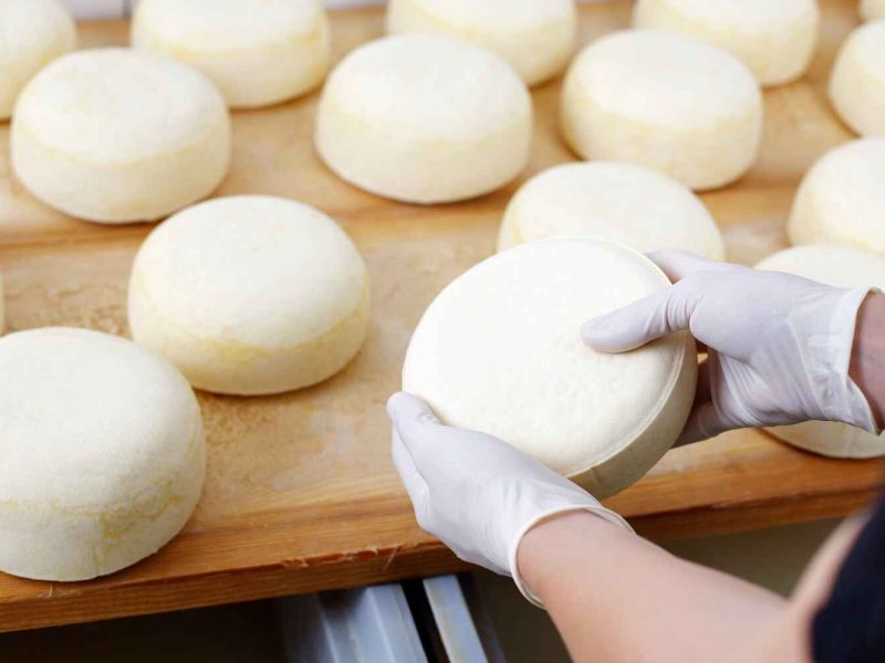 IFAPA pone en marcha una nueva edición del curso formativo de Especialista en Quesería