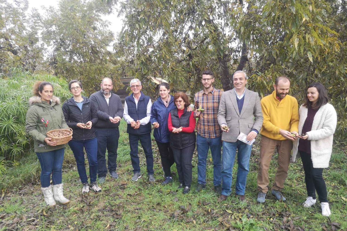 Comienza la temporada de la nuez Pacana en el Valle del Guadalhorce