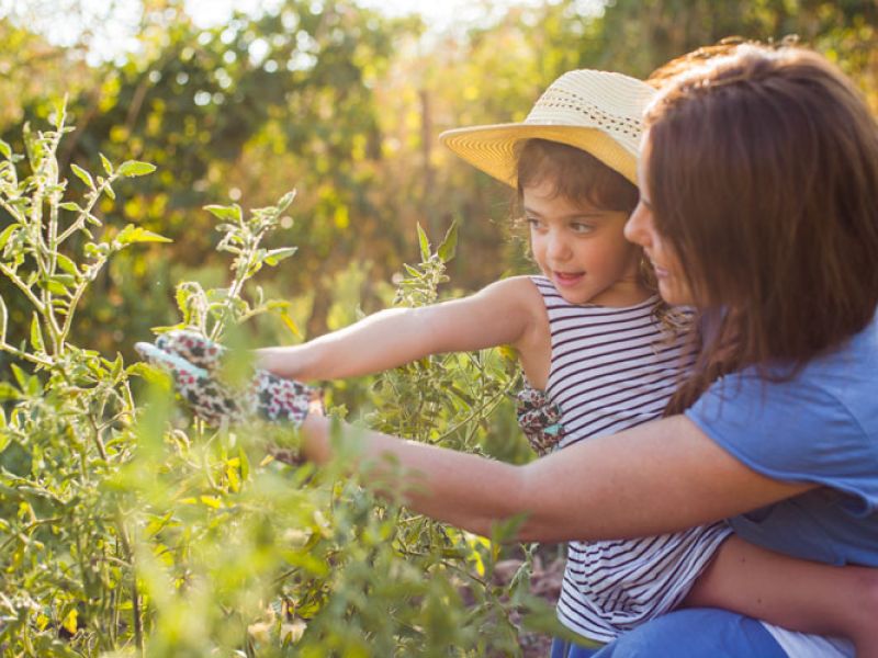 Los Grupos de Desarrollo Rural organizan actividades de dinamización para facilitar la preparación anticipada de proyectos LEADER 2023-2027