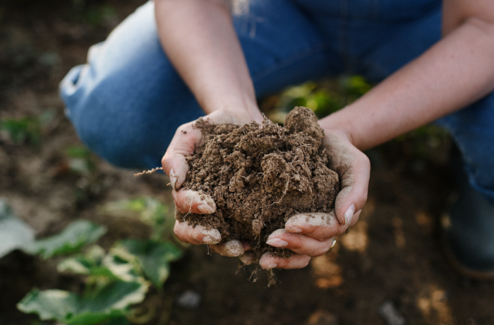 Andalucía, primera comunidad en contar con una ley de impulso y promoción de la producción ecológica