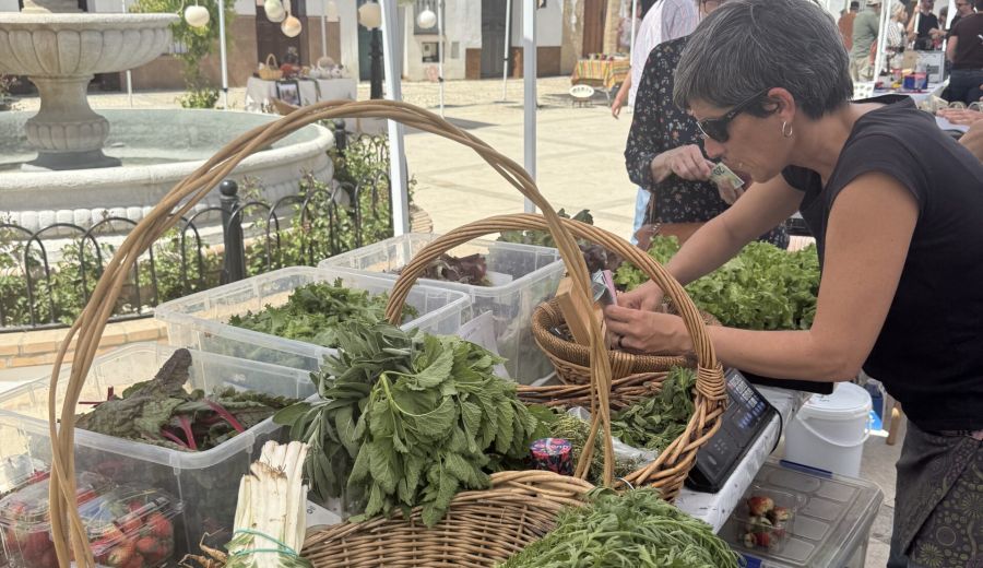 La mayoría de la sociedad española respalda la alimentación sostenible