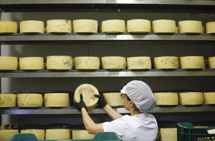 El GDR Los Pedroches participa en un Grupo Operativo para certificar la singularidad del queso de la dehesa cordobesa