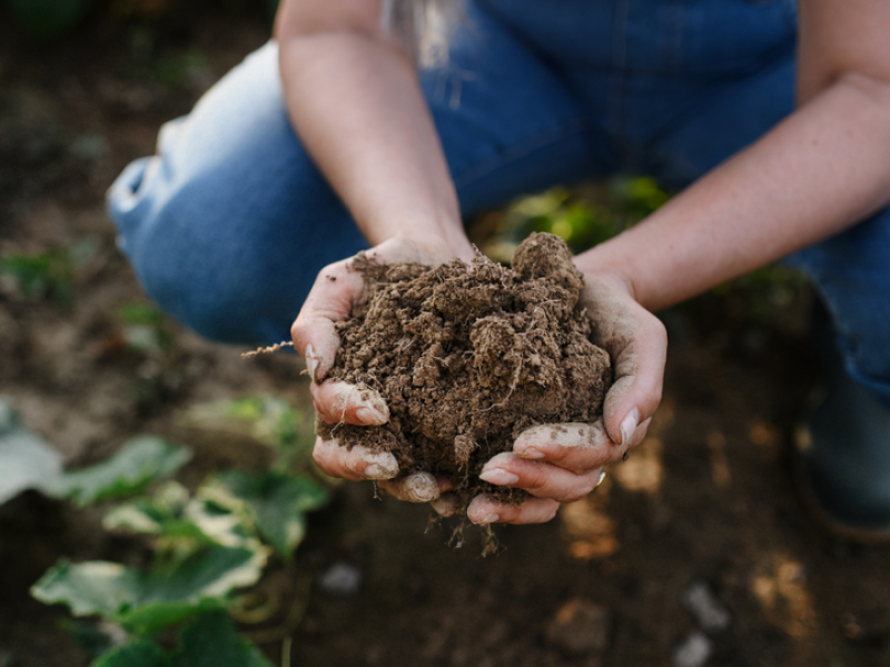 Andalucía, primera comunidad en contar con una ley de impulso y promoción de la producción ecológica