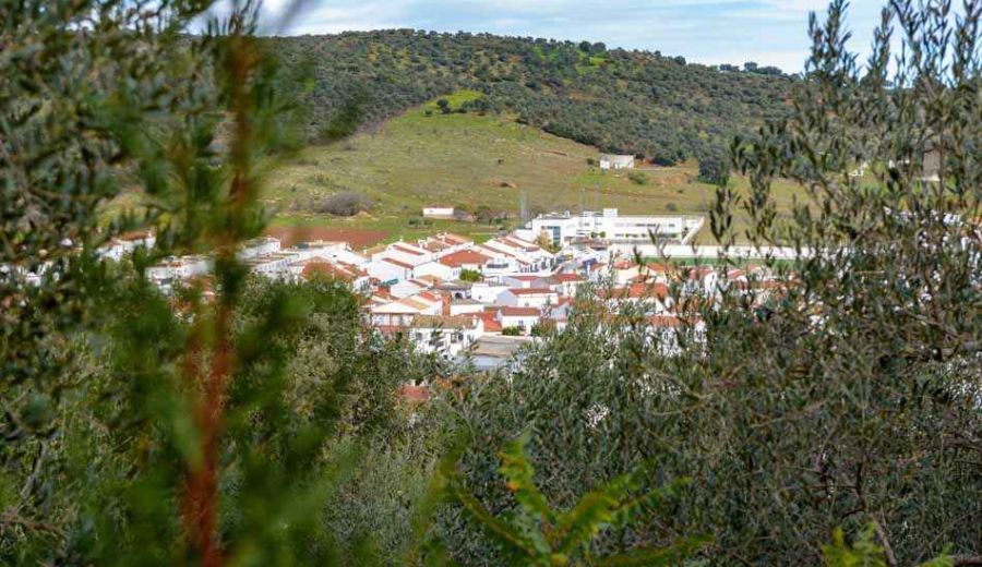 La inteligencia artificial llega a la ganadería de la Sierra Morena Sevillana