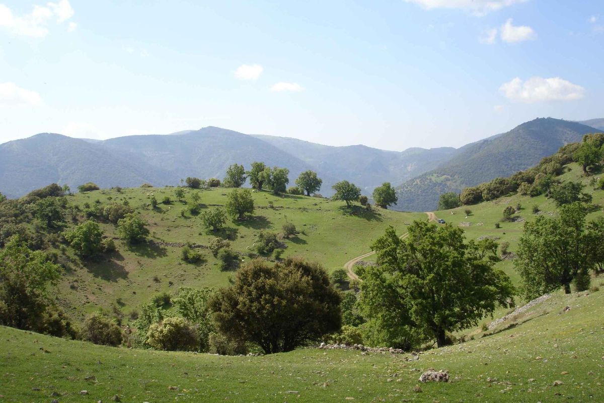 El GDR Sierra Sur de Jaén aprueba 11 proyectos LEADER con una inversión total de 701.147€ en la comarca