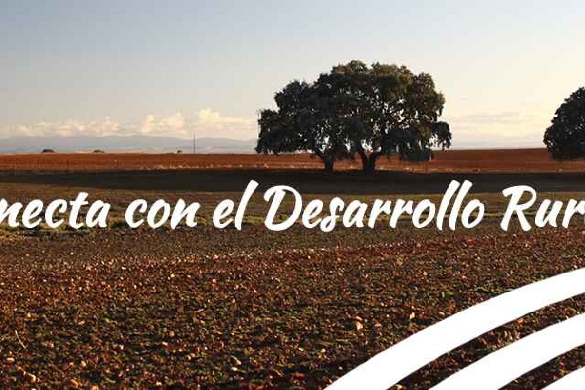 Presentaciones de la 4º reunión del Partenariado del Plan Estratégico Nacional de la PAC 2023-2027