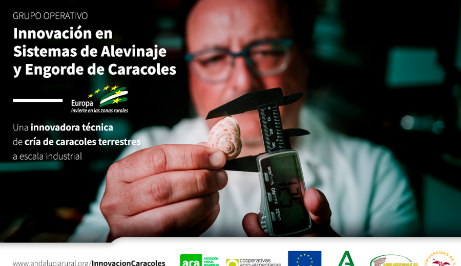 Vídeos del  Grupo Operativo “Innovación en sistema de alevinaje y engorde de caracoles”