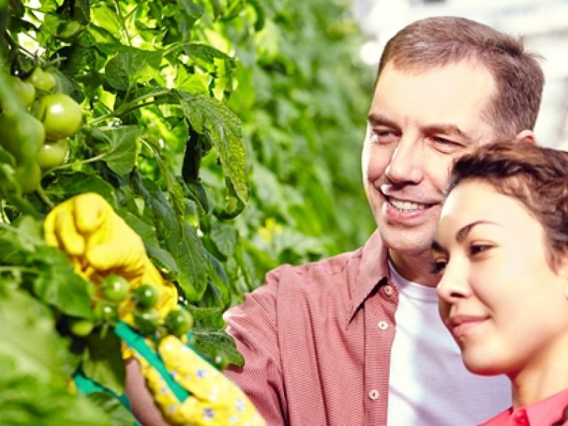 Nueva edición del programa Cultiva de formación para la juventud agroganadera