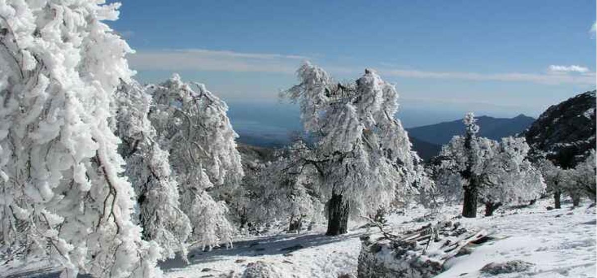 sierra de las nieves 6d9cefb7