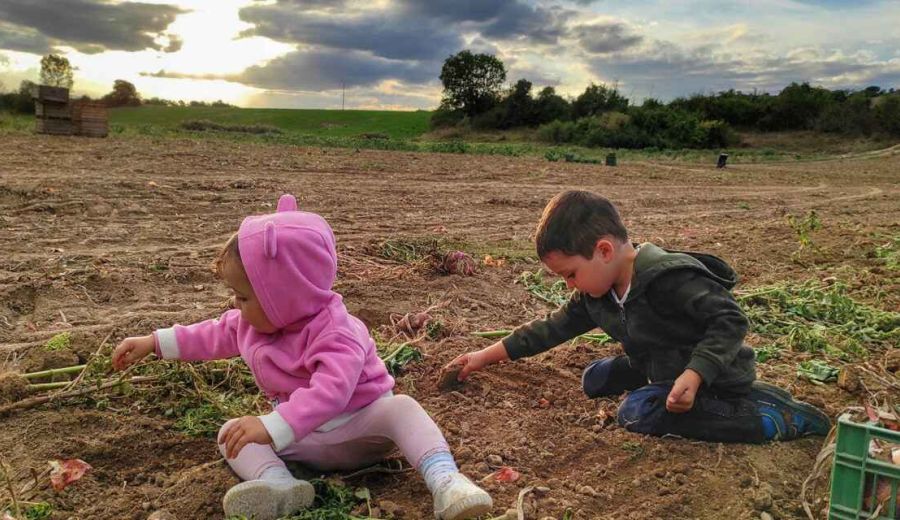 UPA felicita las fiestas navideñas con un cuento sobre los precios justos para agricultores y ganaderos