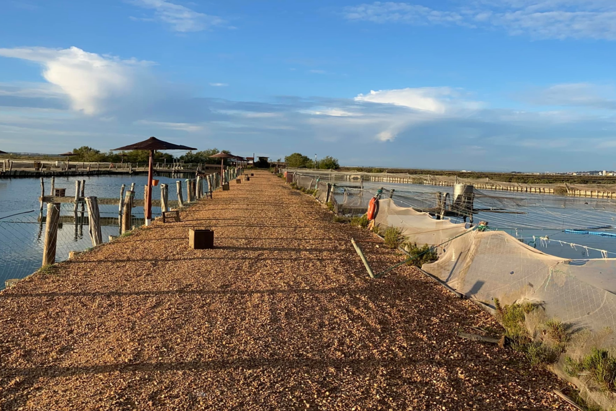 Guadiodiel impulsa con LEADER 67 proyectos en la Costa Occidental de Huelva