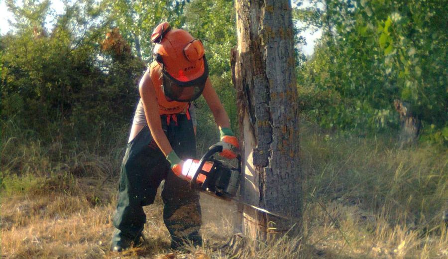 La mujer, el pilar invisible que sostiene el mundo rural