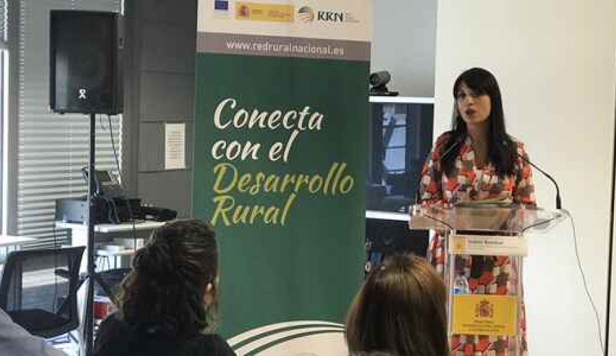 La creación del Subgrupo LEADER en la RRN, una reivindicación de REDR desde el inicio del actual período de programación que ya es una realidad