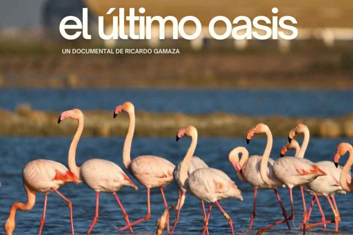 “El último oasis”, documental de Ícara apoyado por el LEADER del GDR Aljarafe-Doñana