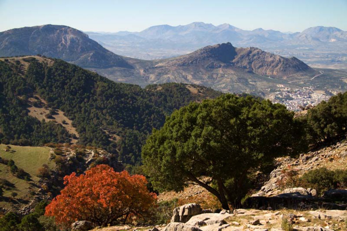 Sierras de Cazorla, Segura y Las Villas celebra sus 35 años como Parque Natural