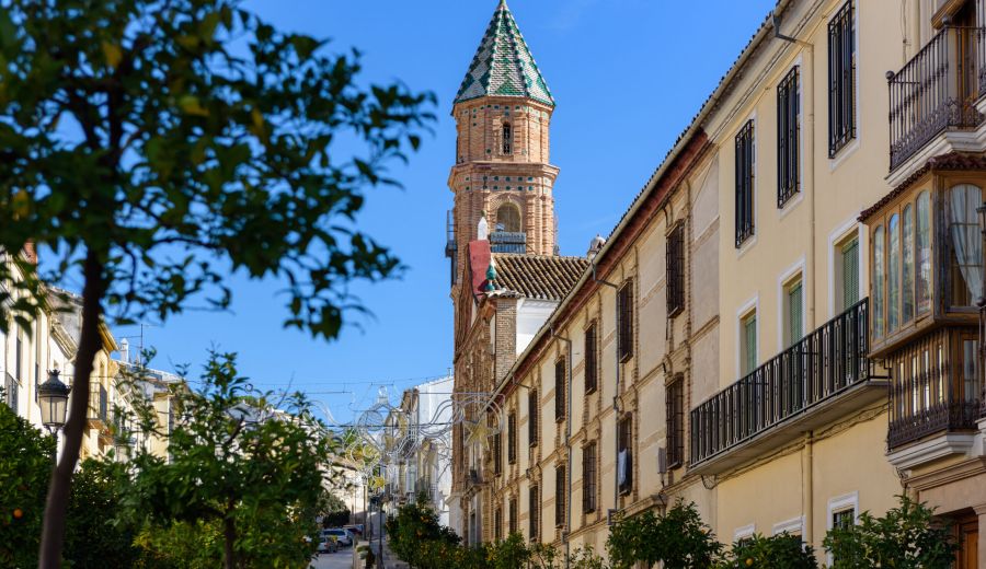 Sierra Norte de Málaga apoya con ayudas LEADER  110 proyectos en el territorio desde 2014 a 2022