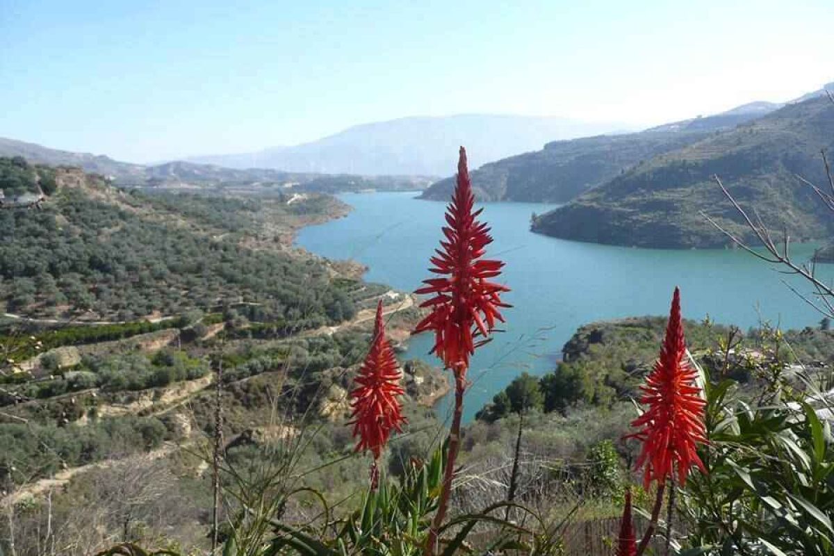 El GDR Valle de Lecrín, Temple y Costa concede 705.000 € de ayudas LEADER a 18 proyectos en la comarca