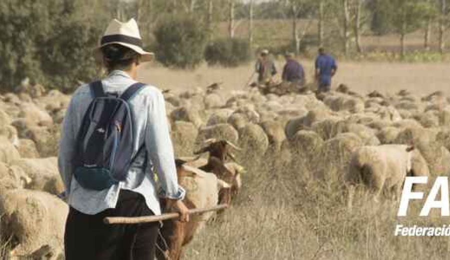 Las mujeres rurales llevan su agenda a la COP25