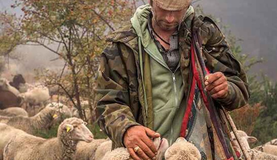 FotoRural 2020 demuestra el carácter esencial, hoy y siempre, del medio rural