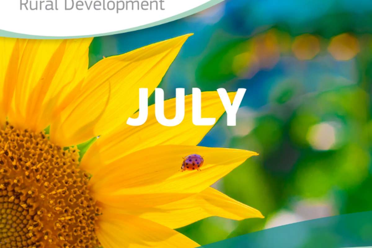 La Red Europea de Desarrollo Rural publica su boletín de julio con toda la actualidad europea sobre desarrollo rural