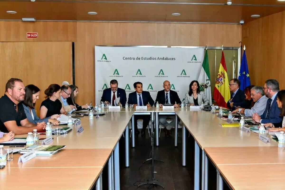 ara reto demografico 002 735ec9b2