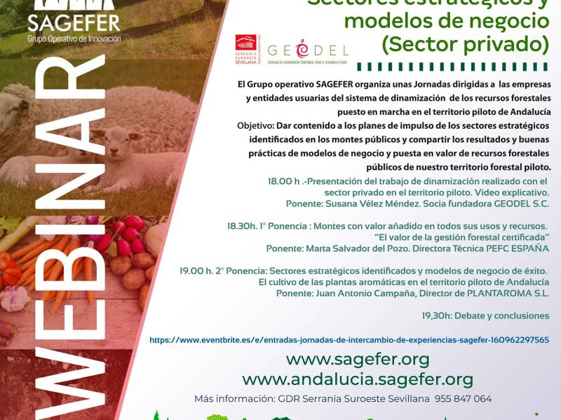 El GDR Serranía Suroeste Sevillana organiza la jornada “Experiencias SAGEFER sectores estratégicos y modelos de negocio”