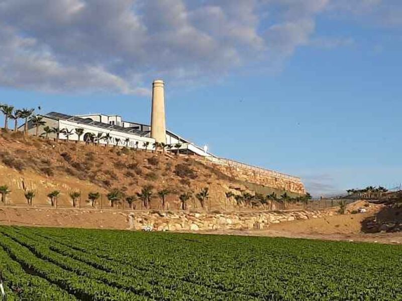 El GDR Levante Almeriense y Almanzora apoya con LEADER la Sociedad Agraria de Transformación Los Guiraos