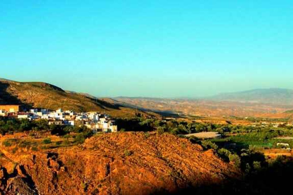 Almócita (Almería), ejemplo nacional para la repoblación