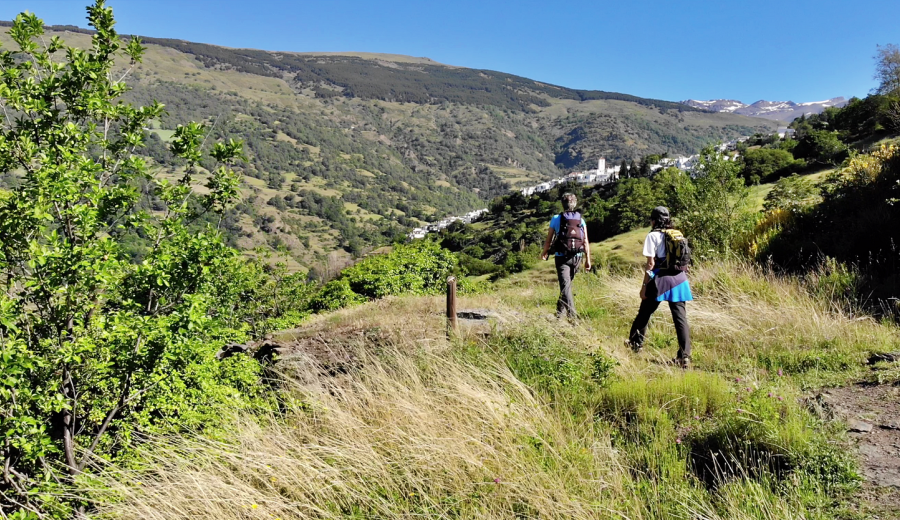 Ocupaciones estratégicas para la transición ecológica centradas en el turismo de naturaleza sostenible