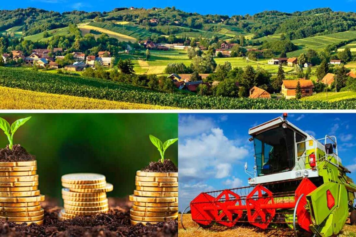 Europa y el medio rural: cultivar nuestro propio jardín, el método LEADER