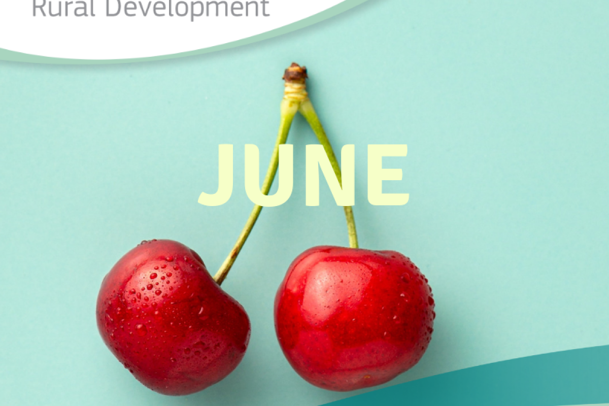 La Red Europea de Desarrollo Rural publica su boletín de junio con la actualidad europea sobre desarrollo rural y destaca la plataforma SmartREDR