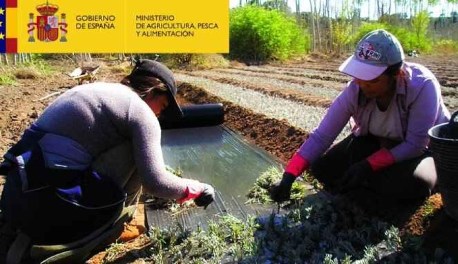 El Ministerio de Agricultura, Pesca y Alimentación concede los XI “Premios de Excelencia a la Innovación para Mujeres Rurales”