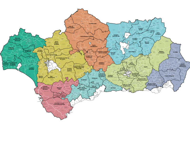 Andalucía publica la nueva convocatoria de ayudas LEADER 2023-2027, dotada con 97, 5M€ para fomentar el emprendimiento en las zonas rurales