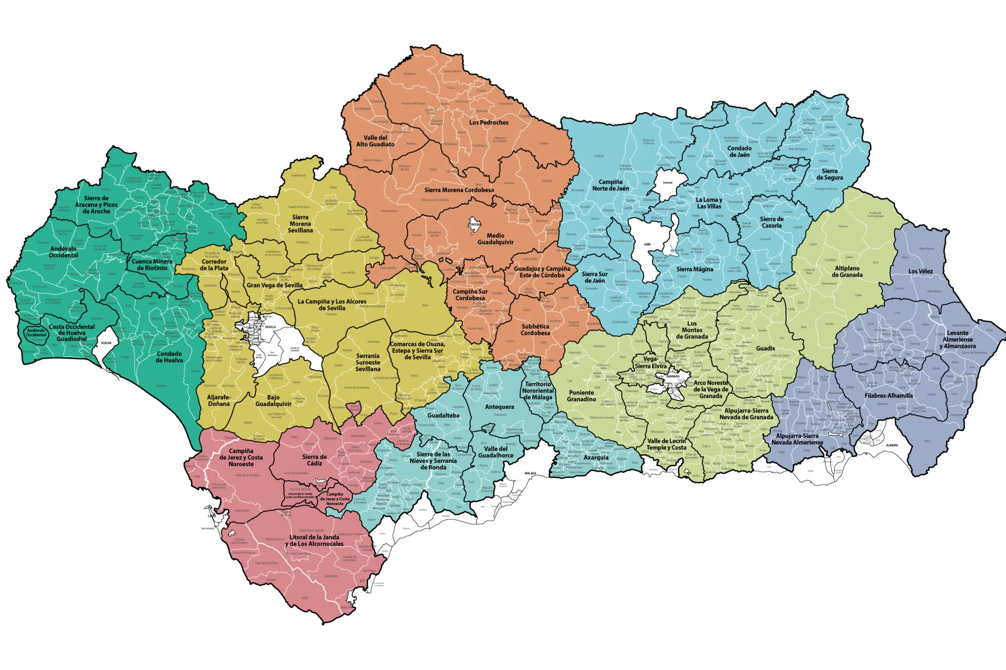 Los Grupos de Desarrollo Rural de Andalucía gestionan más de 9.000 solicitudes de proyectos LEADER 2014-2022