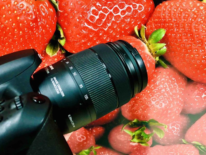 Abierto el plazo para participar en el concurso fotográfico Medio Rural y Pesquero en Andalucía 2021