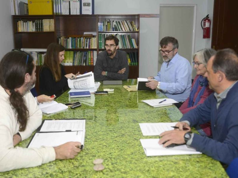 Más reforestación en el Descansadero del Gallo