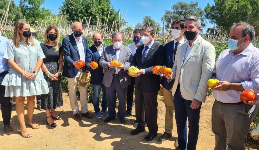 Luis Planas visita una explotación de una variedad de tomate autóctono del Valle del Guadalhorce